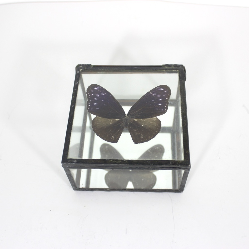 Vintage Leaded Glass Trinket Box with Butterfly Jewellery Bedside Coffee Table